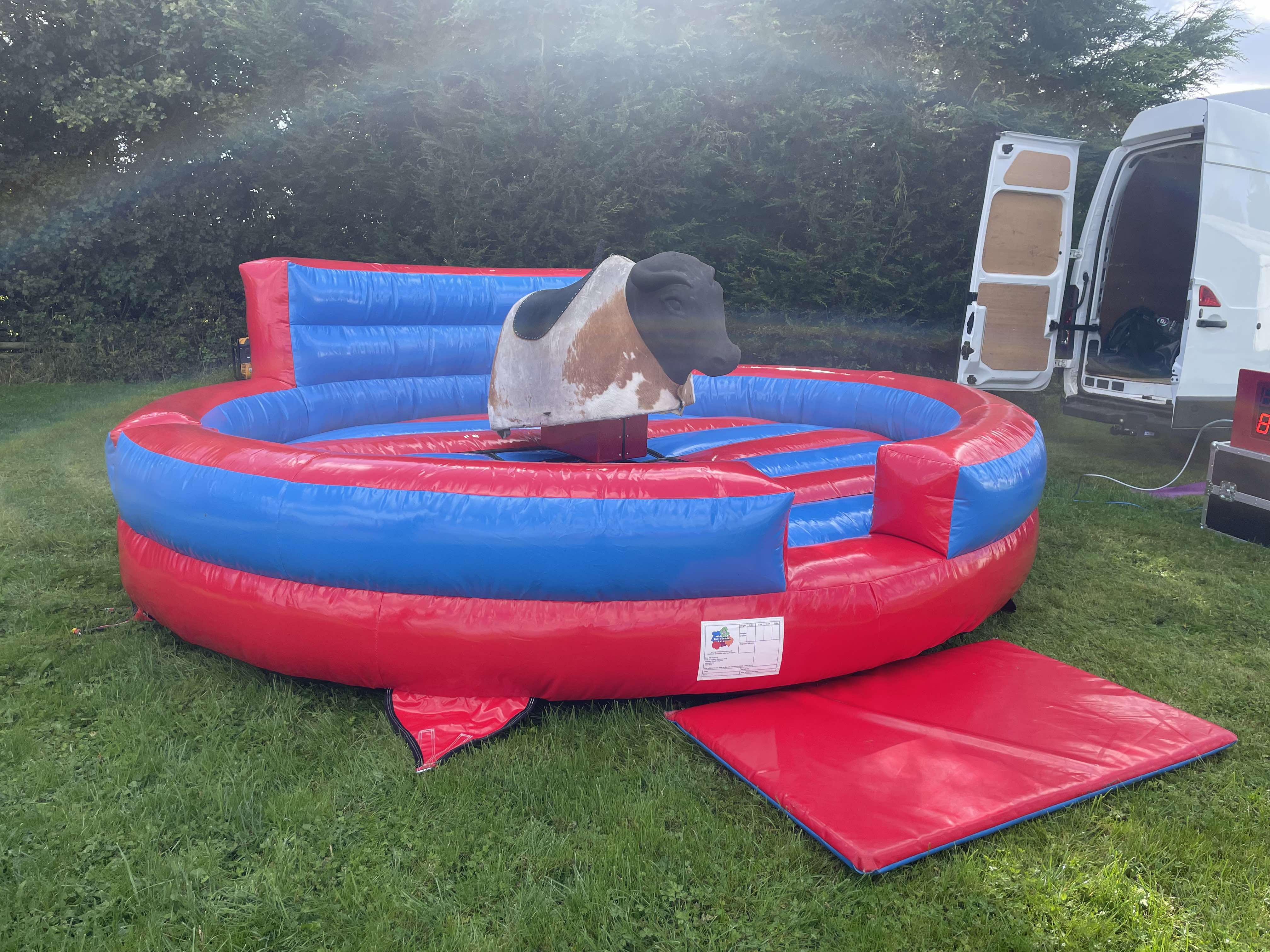 Rodeo Bull Hire
