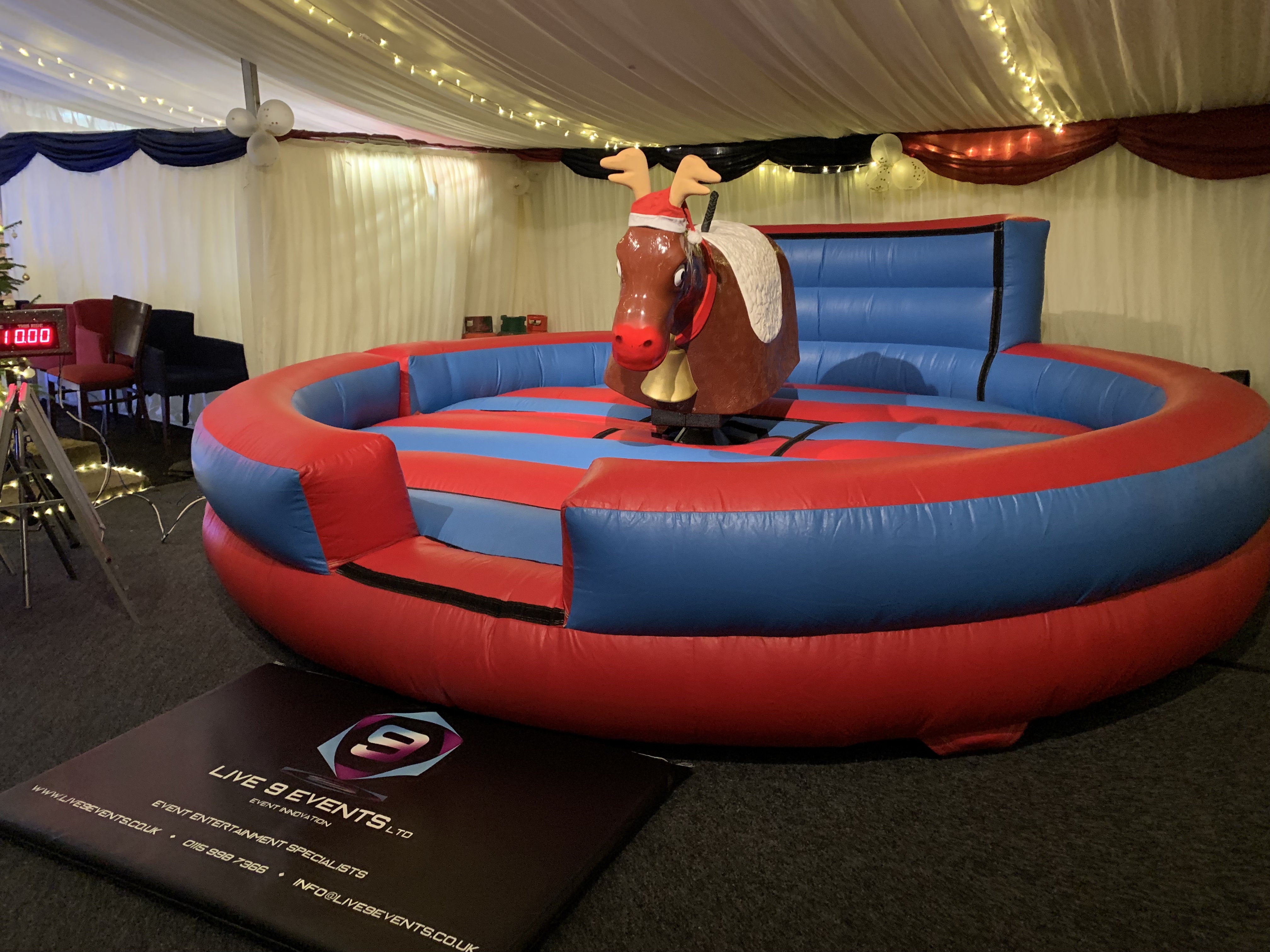 Rodeo Reindeer Hire