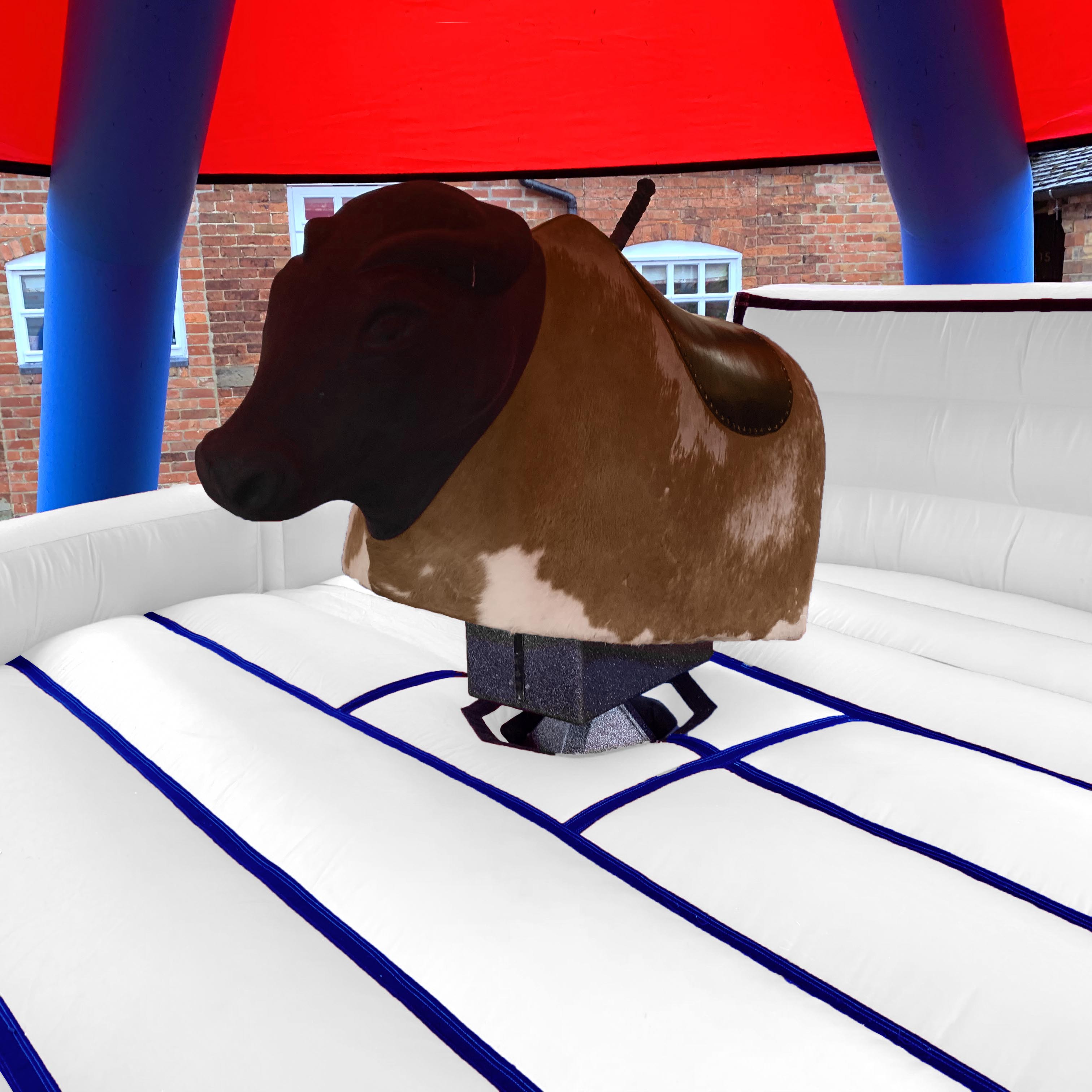 Wedding Rodeo Bull